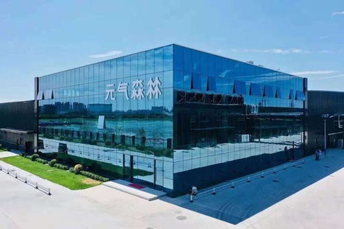 研發(fā)驅(qū)動，品質(zhì)為王 元氣森林如何通過市場調(diào)研鑄造更好的產(chǎn)品